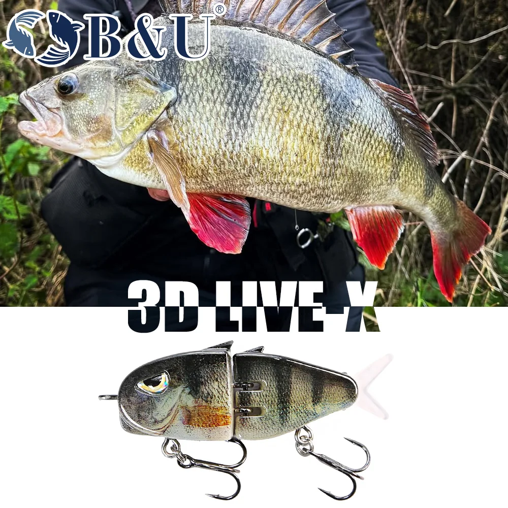 B&U Slow Sinking Fishing Lure  - Fishing Lure Popper 评论和价格