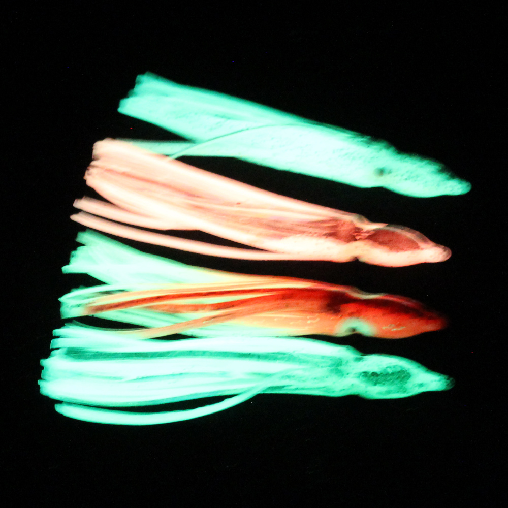 10 Pcs Soft Light Octopus Squi - Fishing Lure Buzzbait 评论和价格