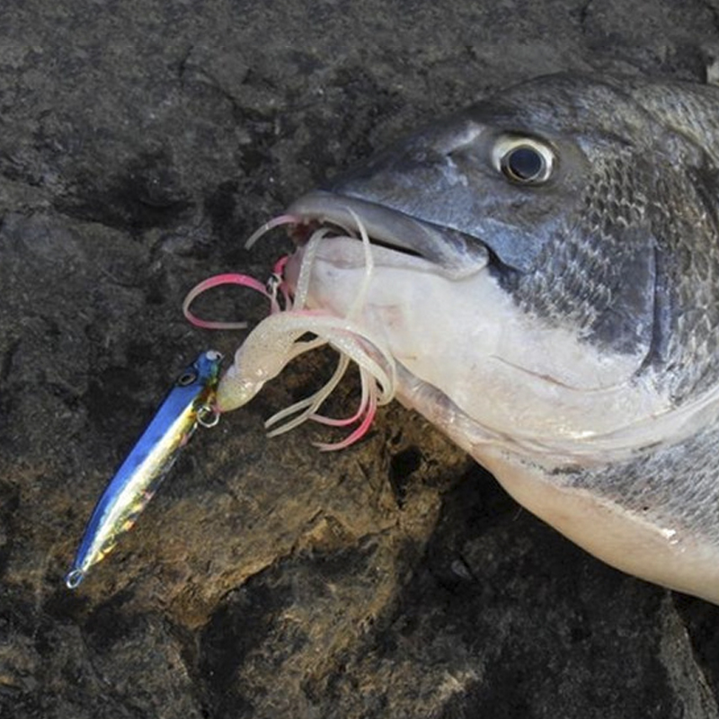OBSESSION J25 Inchiku Squid Lu - Fishing Lure Buzzbait 评论和价格