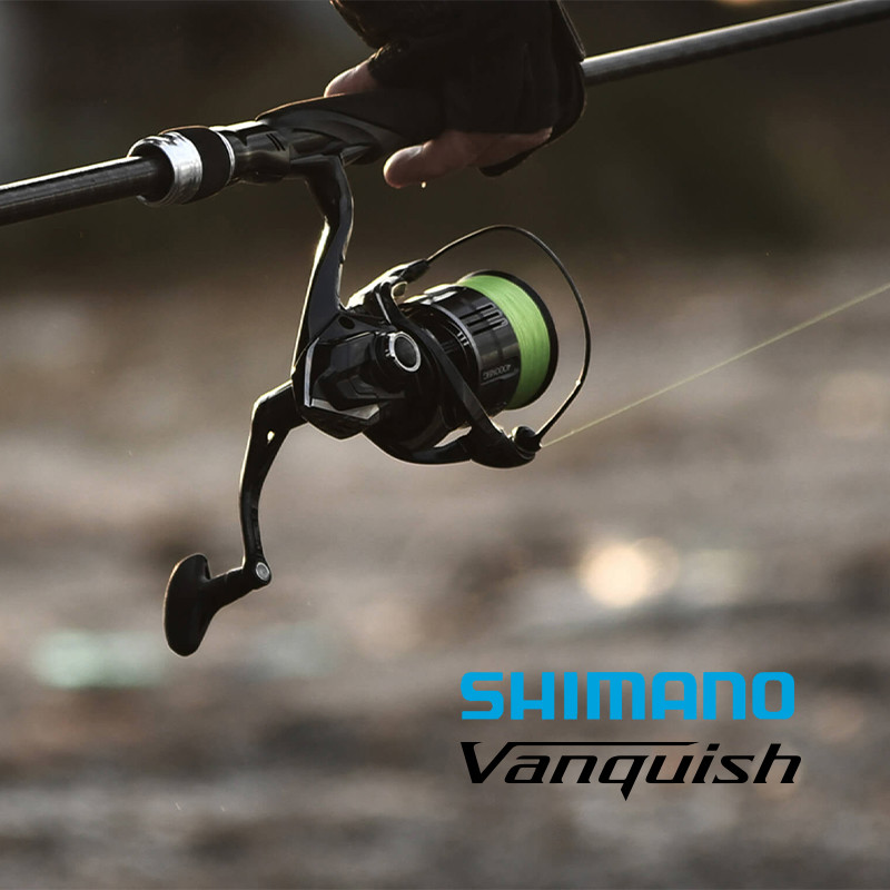 Shimano 23 Vanquish Origin Fis - Daiwa Reel Fuego 评论和价格